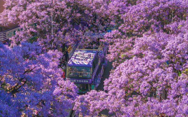 优服务繁荣文旅市场麻将胡了2试玩以更(图13)