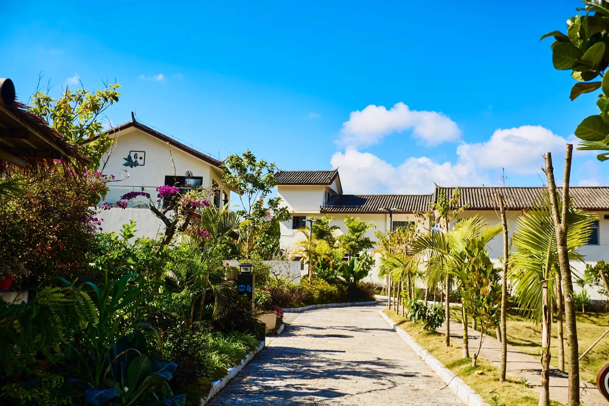 丽星村云南本土与现代技艺交融的咖啡文化生