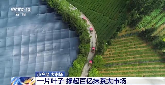 到美妆小瓶罐 看小产品如何撬动大市场PG麻将胡了2从一片树叶、一杯咖啡(图22)