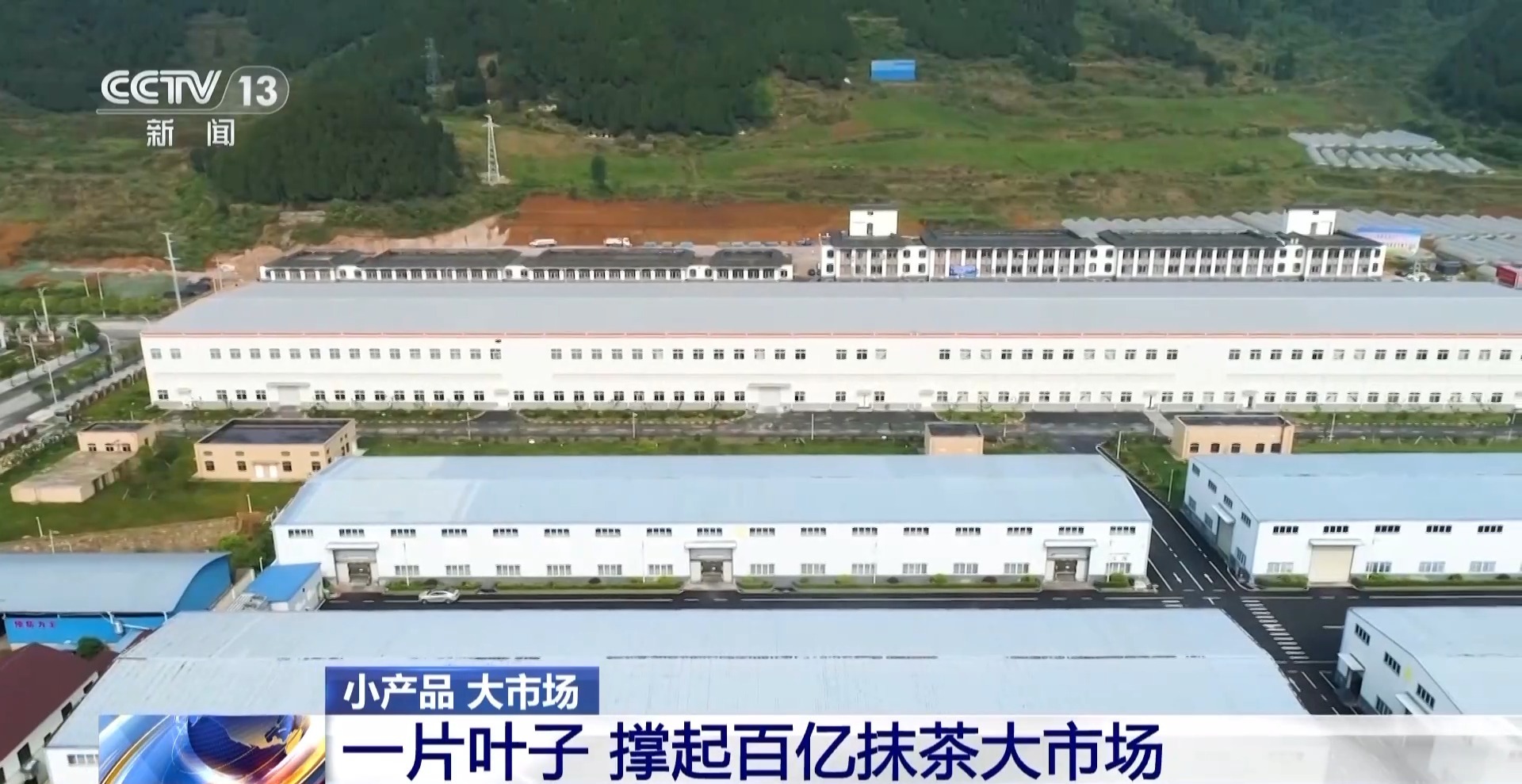 咖啡到美妆小瓶罐 看小产品如何撬动大市场麻将胡了2模拟器试玩丨从一片树叶、一杯(图17) 咖啡到美妆小瓶罐 看小产品如何撬动大市场麻将胡了2模拟器试玩丨从一片树叶、一杯(图17)