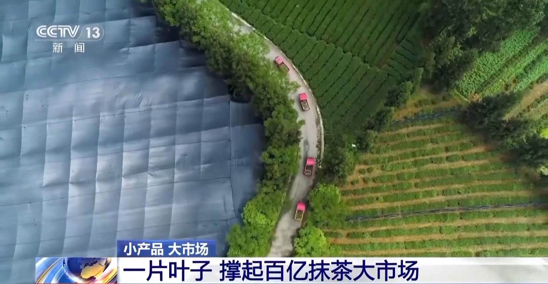 咖啡到美妆小瓶罐 看小产品如何撬动大市场麻将胡了2模拟器试玩丨从一片树叶、一杯(图25) 咖啡到美妆小瓶罐 看小产品如何撬动大市场麻将胡了2模拟器试玩丨从一片树叶、一杯(图25)